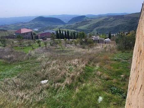 Torpaq - Şamaxı - 12 sot