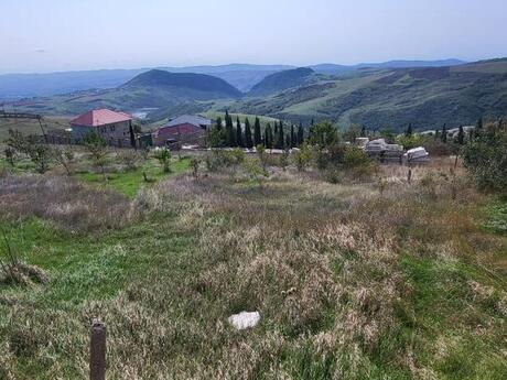 Torpaq - Şamaxı - 12 sot