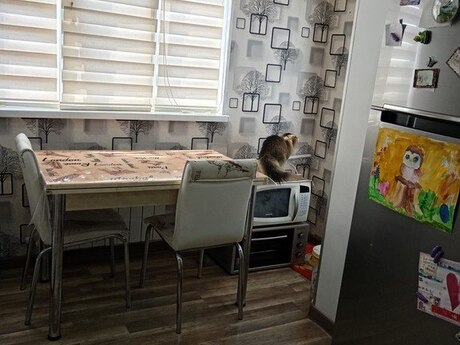 2 otaqlı köhnə tikili - Əhmədli q. - 60 m²