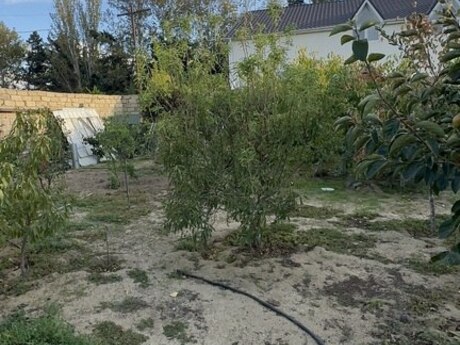 4 otaqlı həyət evi, 110 m², Novxanı: 170 000 ₼ 4