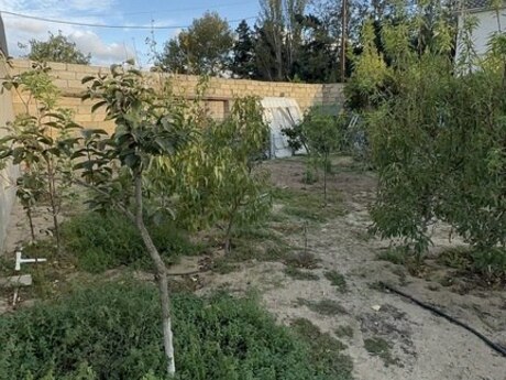 4 otaqlı həyət evi, 110 m², Novxanı: 170 000 ₼ 3