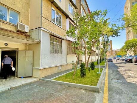 Объявление №5559767 - Баку, м. Кара Караев, 3-комн., 85 м², 2/5 этаж