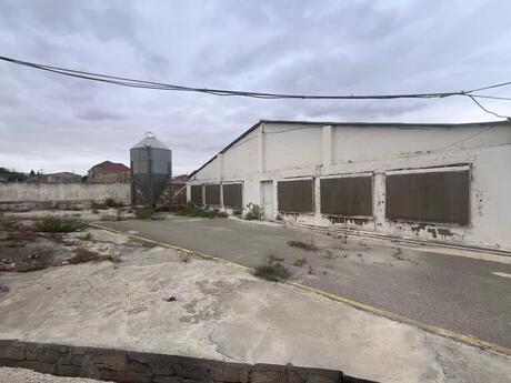 Obyekt - Hökməli q. - 17000 m²