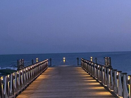 Объявление №5568127 - Баку, пос. Зире, 150 сот