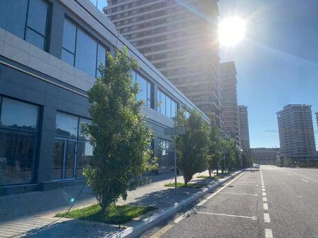 Obyekt - Şah İsmayıl Xətai m. - 440 m²