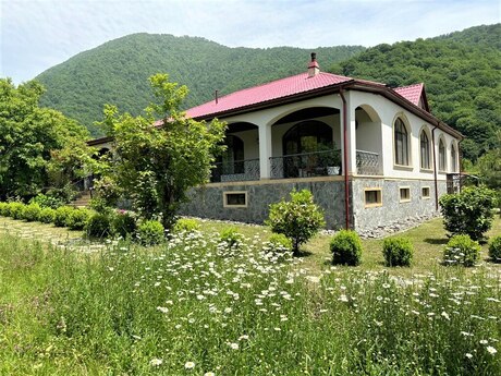 5 otaqlı həyət evi/bağ evi - Qəbələ - 460 m²