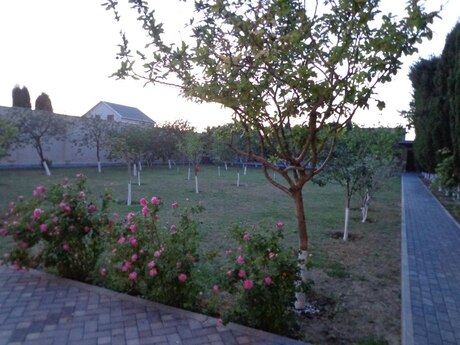 3 otaqlı həyət evi/bağ evi - Novxanı q. - 150 m²