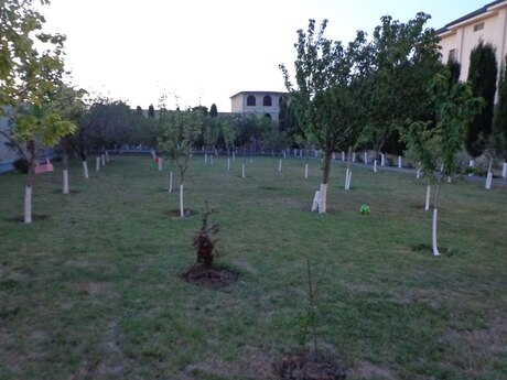 3 otaqlı həyət evi/bağ evi - Novxanı q. - 150 m²