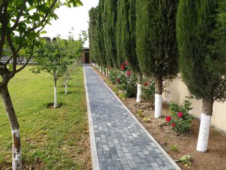 3 otaqlı həyət evi/bağ evi - Novxanı q. - 150 m²