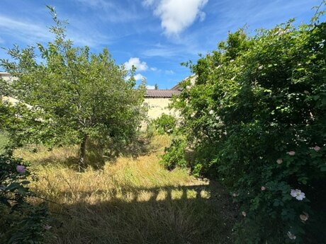 Elan №5581967 - Bakı, Mərdəkan q., 11 sot