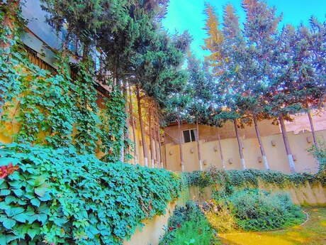6 otaqlı həyət evi/bağ evi - 20 Yanvar m. - 360 m²