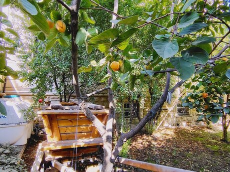 House with Garden, Villa For Rent