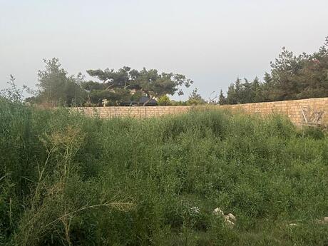 Объявление №5589762 - Баку, пос. Бильгях, 7.2 сот