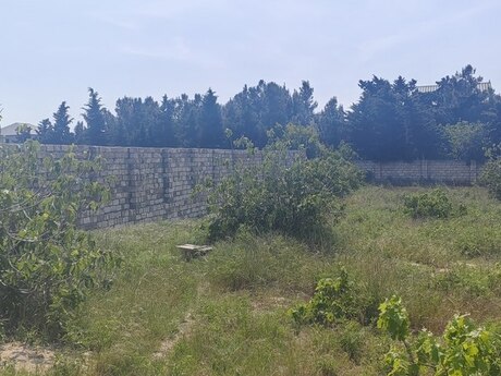 Объявление №5149495 - Баку, пос. Бильгях, 12 сот