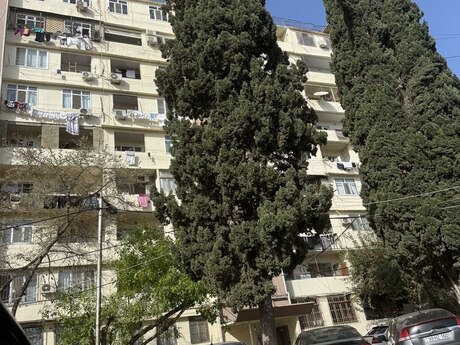 Объявление №5601121 - Баку, м. Ази Асланов, 5-комн., 120 м², 7/9 этаж