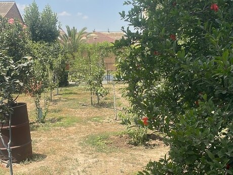 9 otaqlı həyət evi/bağ evi - Bakıxanov q. - 800 m²