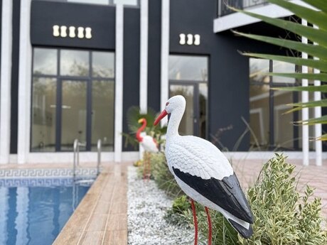 5 otaqlı həyət evi/bağ evi - Şüvəlan q. - 220 m²