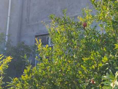 7 otaqlı həyət evi/bağ evi - Buzovna q. - 200 m²