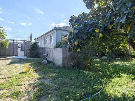 6 otaqlı həyət evi/bağ evi - Buzovna q. - 200 m²
