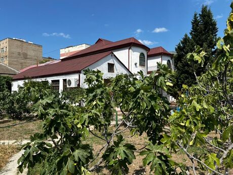 6 otaqlı həyət evi/bağ evi - Zığ q. - 300 m²
