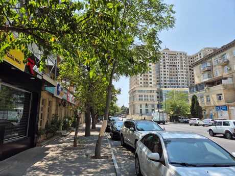 Obyekt - Elmlər Akademiyası m. - 130 m²