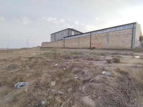 Объявление №5612363 - Баку, пос. Сарай, 6 сот