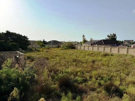 Объявление №5615394 - Баку, пос. Пиршаги, 22 сот