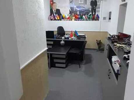 Объект - м. Насими - 54.8 м²