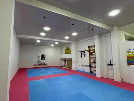 Объявление №5636619 - Баку, м. 28 мая, 220 м²