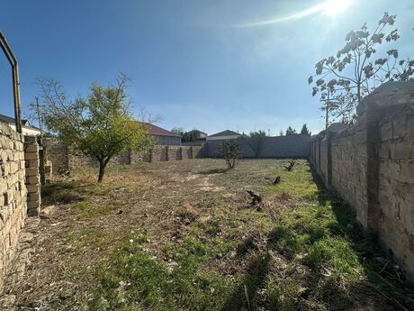 Elan №5644647 - Bakı, Azadlıq Prospekti m., 6 sot