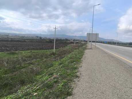 Elan №5646103 - Şabran, Şabran, 500 sot