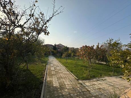 8 otaqlı həyət evi/bağ evi - Novxanı q. - 600 m²
