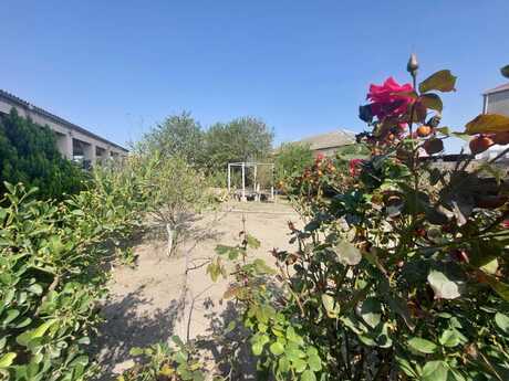 4 otaqlı həyət evi/bağ evi - Maştağa q. - 160 m²