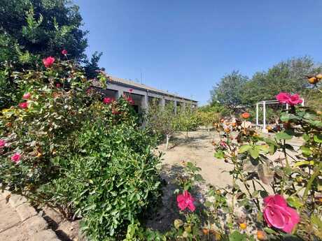 4 otaqlı həyət evi/bağ evi - Maştağa q. - 160 m²