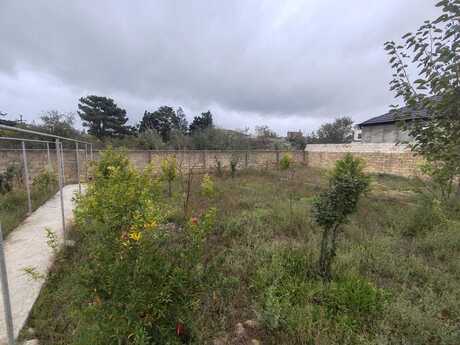 6 otaqlı həyət evi/bağ evi - Novxanı q. - 280 m²