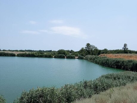 Torpaq - Xaçmaz - 998 sot