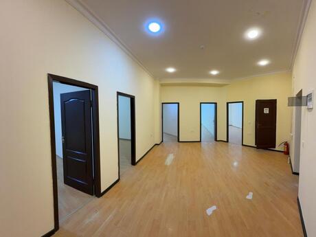 Объявление №5658585 - Баку, Насиминский  р., 6-комн., 255 м²