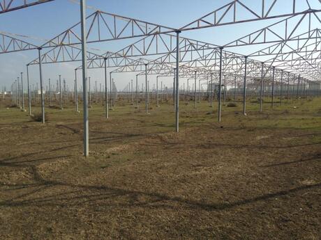 Elan №5660257 - Bakı, Novxanı q., 120 sot