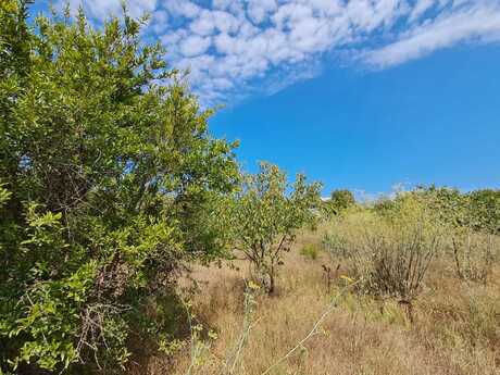 Объявление №5669587 - Баку, пос. Нардаран, 12.6 сот