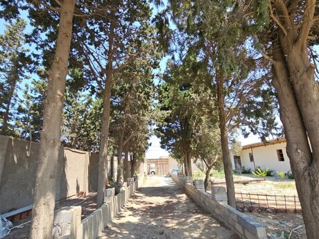 7 otaqlı həyət evi/bağ evi - Novxanı q. - 250 m²