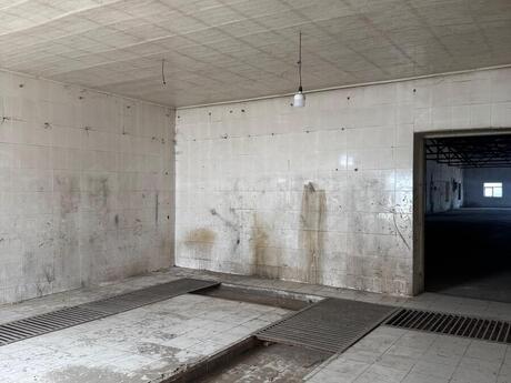 Obyekt - Nərimanov r. - 500 m²