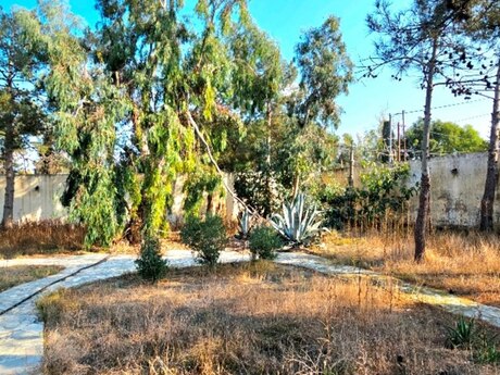 Объявление №5672988 - Баку, пос. Шувеляны, 18 сот