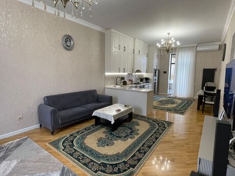 8 otaqlı həyət evi/bağ evi - Nəsimi m. - 450 m²
