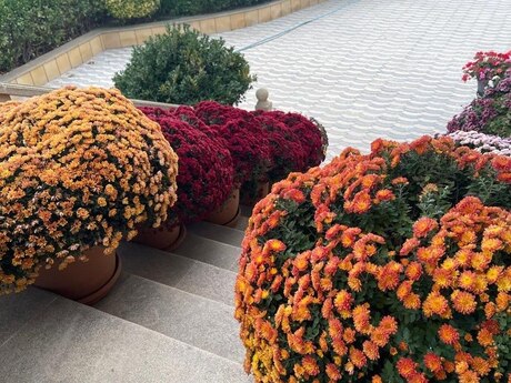4 otaqlı həyət evi/bağ evi - Pirallahı r. - 240 m²