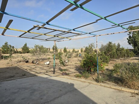 6 otaqlı həyət evi/bağ evi - Zirə q. - 220 m²