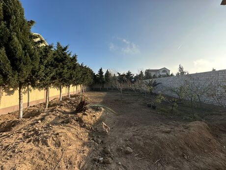 Elan №5681988 - Bakı, Mərdəkan q., 6 sot