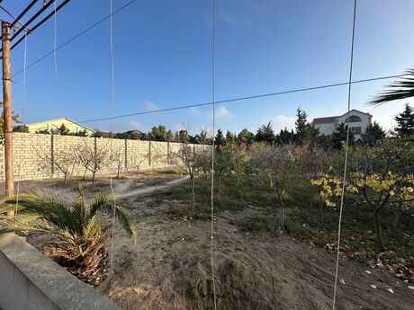 Объявление №5681990 - Баку, пос. Мардакан, 6 сот