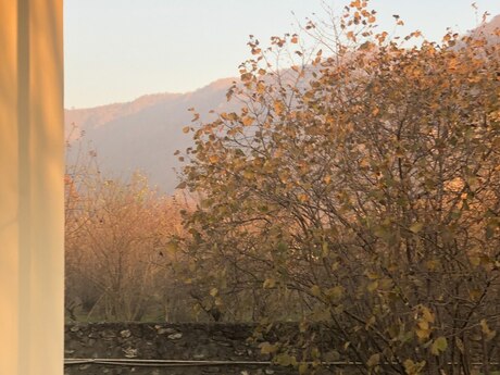 Torpaq - Qəbələ - 10 sot
