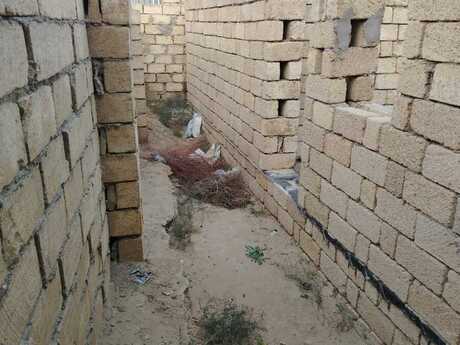 Elan №5688091 - Bakı, Masazır q., 3 sot