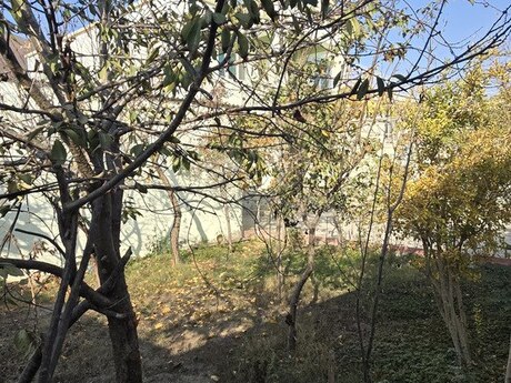 5 otaqlı həyət evi/bağ evi - Binə q. - 240 m²